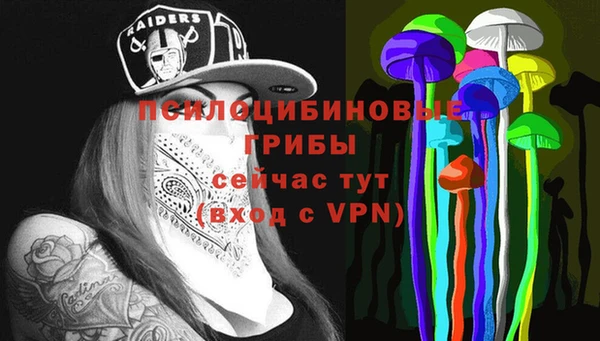 дмт Алексин