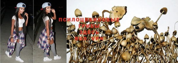 дмт Алексин