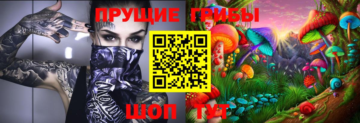 Псилоцибиновые грибы прущие грибы  где можно купить   Прохладный  Вход с VPN 